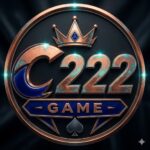 C222 Game