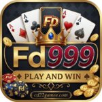 FD999 Game